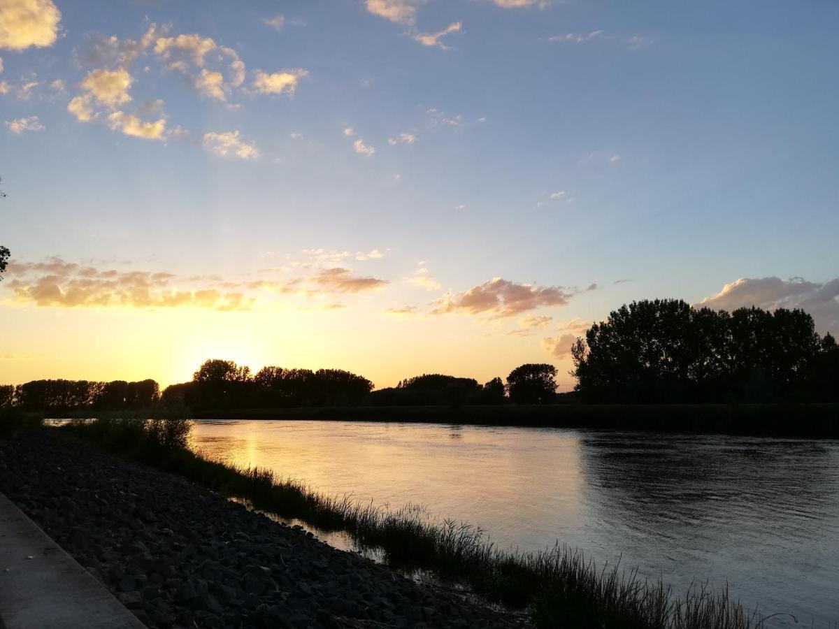 B&B De Stuifduinen Wetteren Buitenkant foto