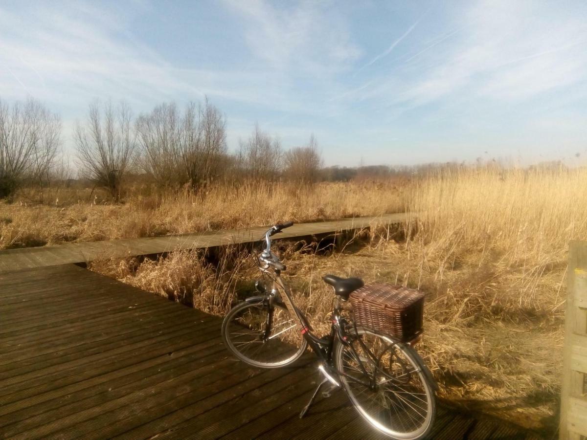 B&B De Stuifduinen Wetteren Buitenkant foto